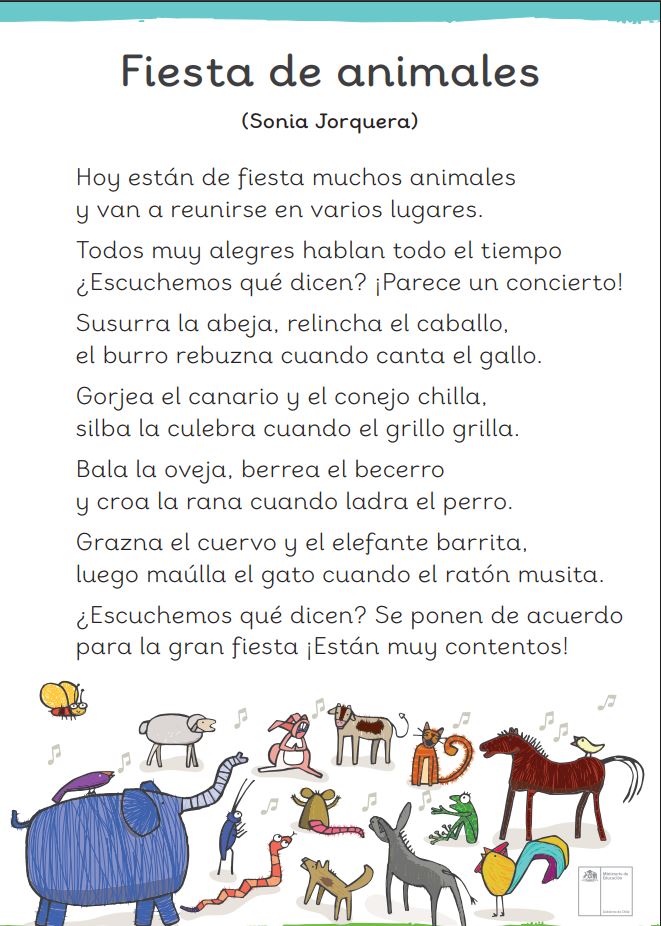 Fiesta de animales