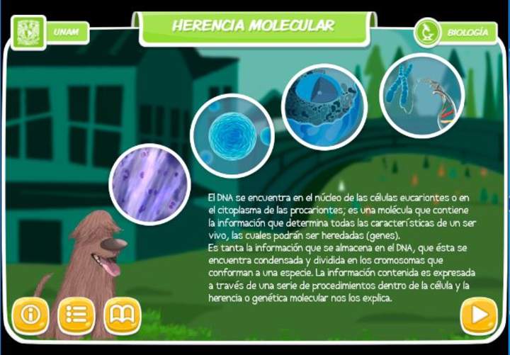 Imagen portada