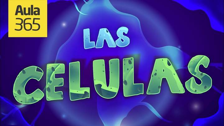 Imagen portada