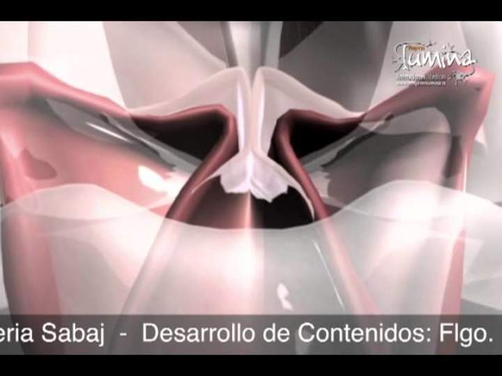 Imagen portada