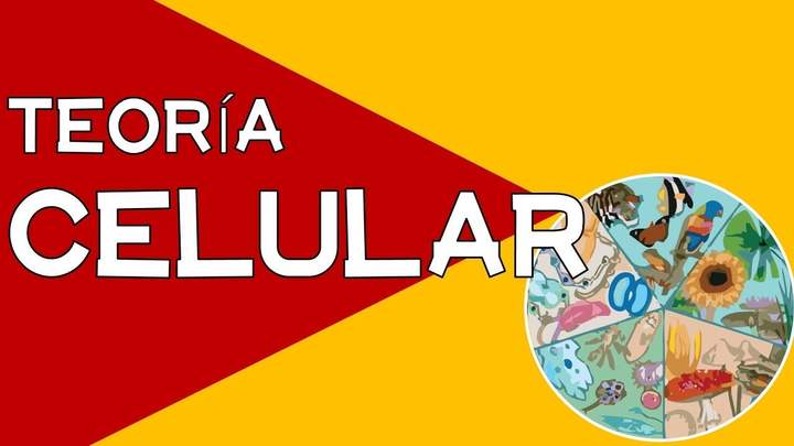 Imagen portada