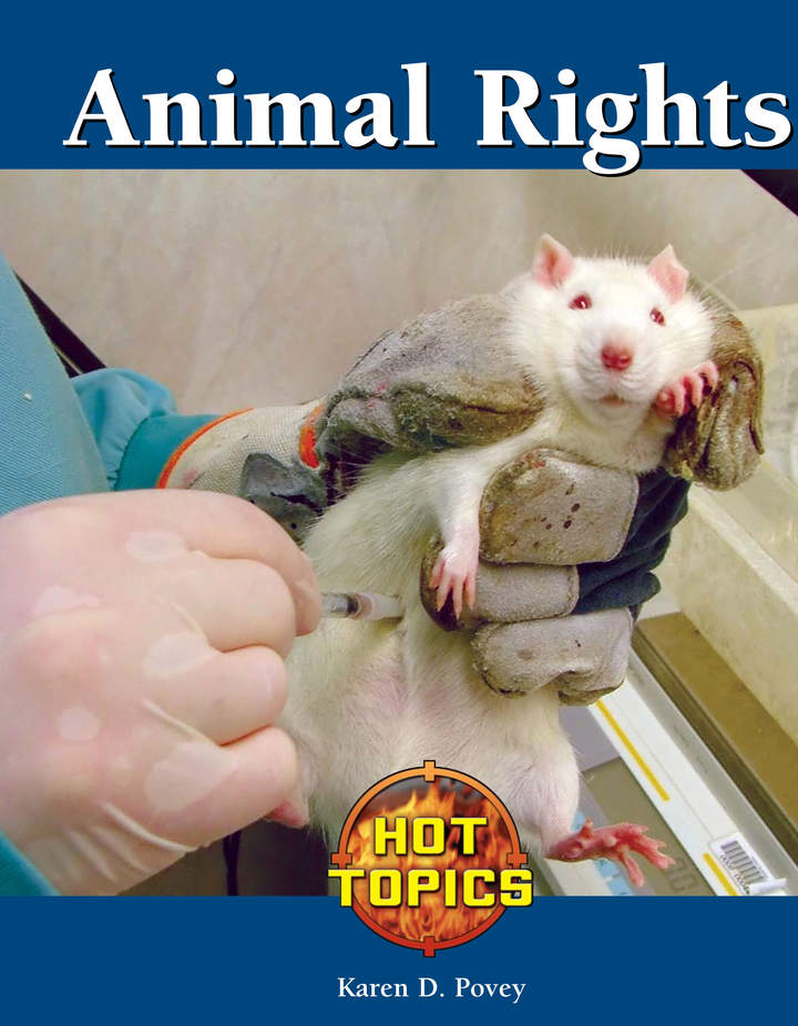 Imagen portada