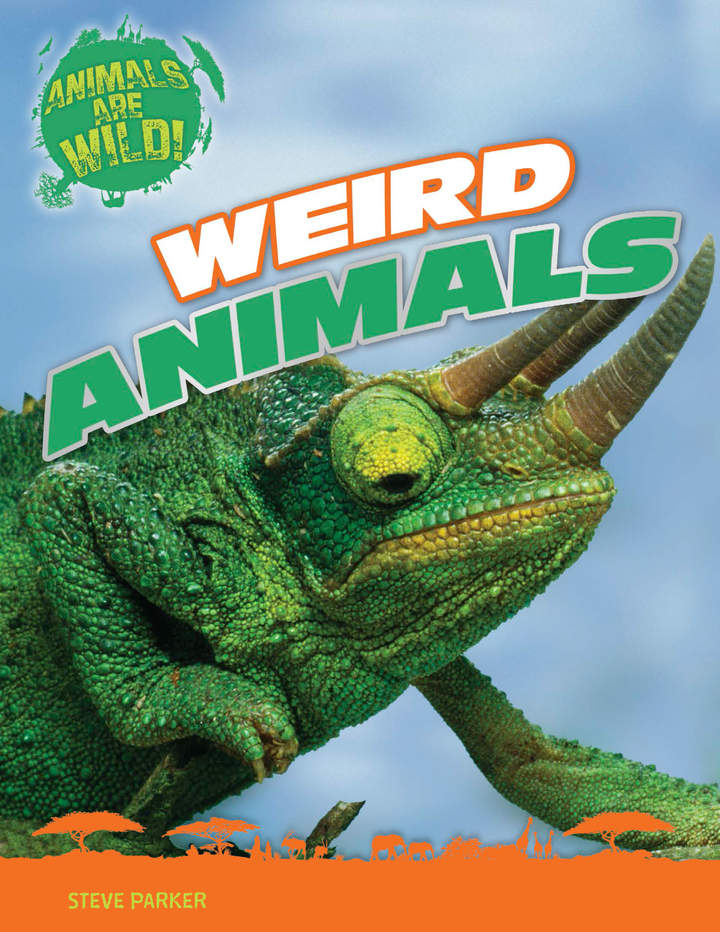 Imagen portada