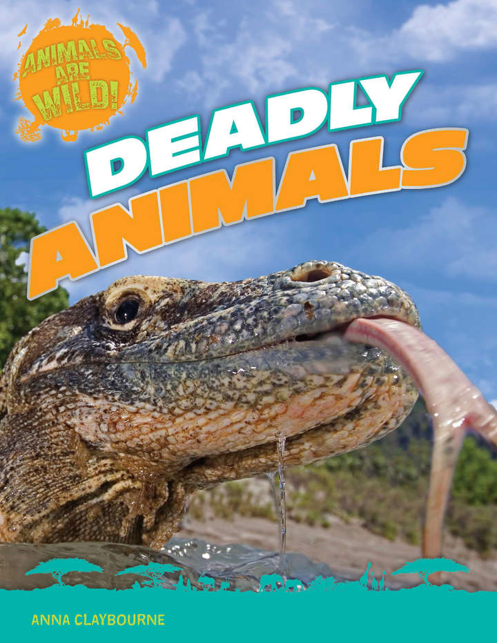 Imagen portada