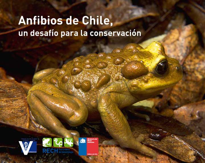 Imagen portada