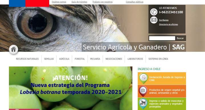 Imagen portada