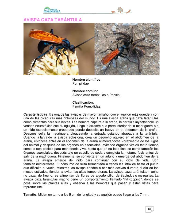 Imagen portada