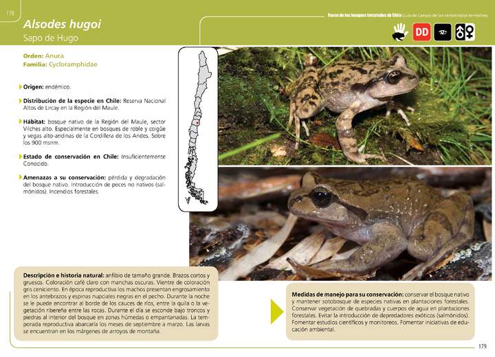 Imagen portada