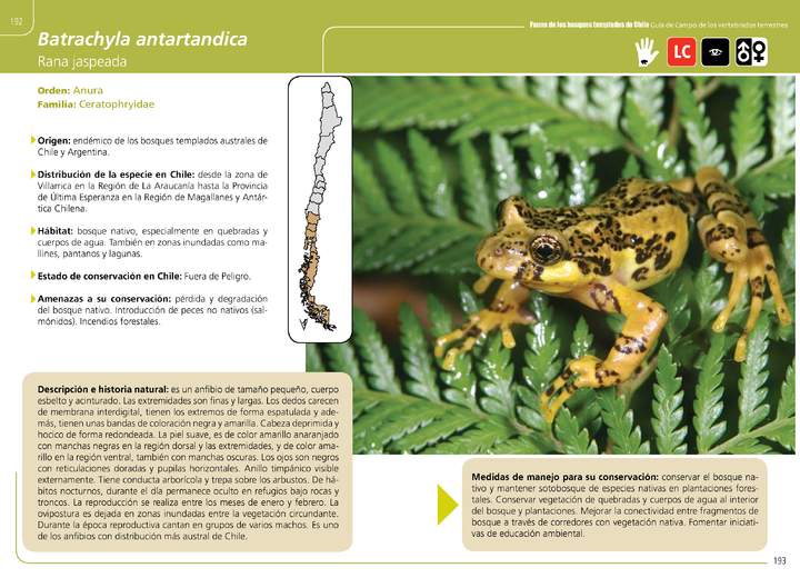 Imagen portada