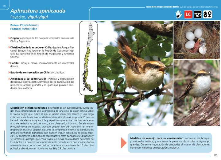 Imagen portada