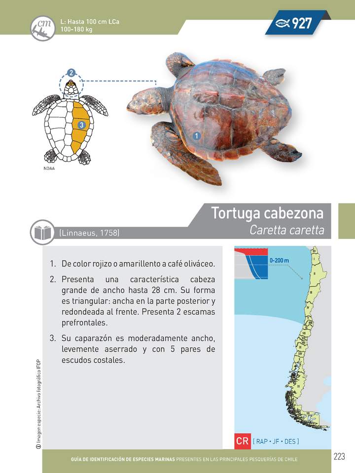 Imagen portada