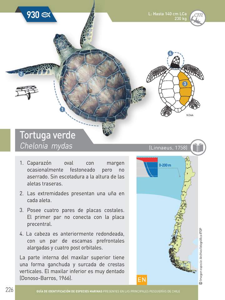 Imagen portada