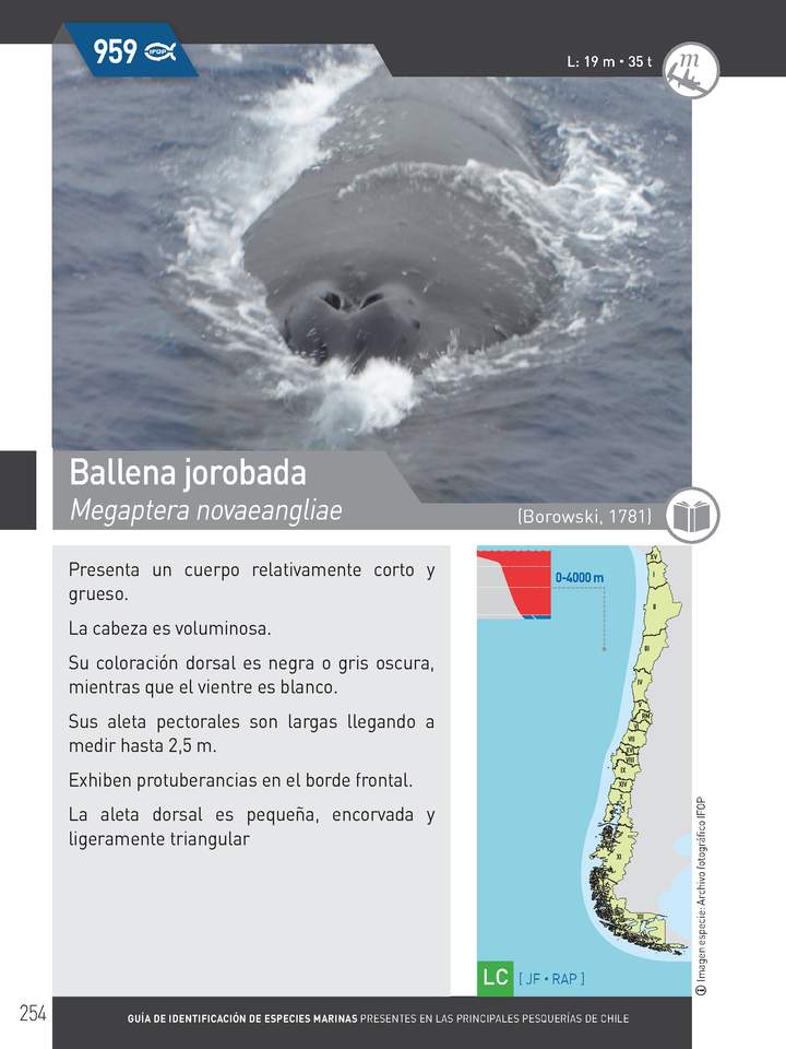 Imagen portada
