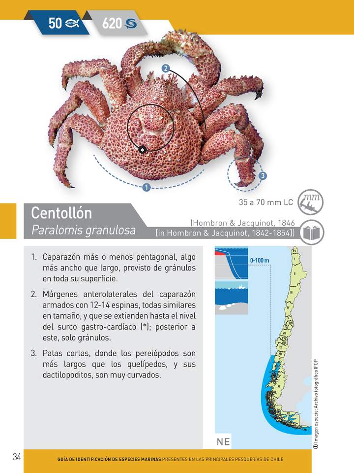 Imagen portada