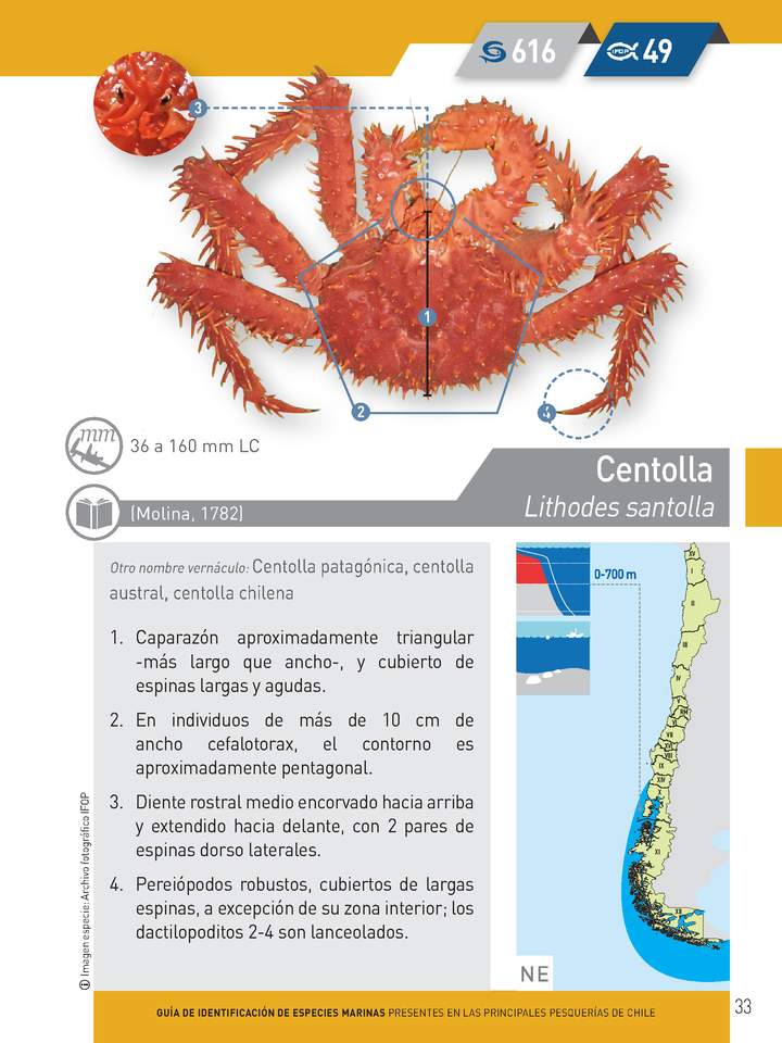Imagen portada