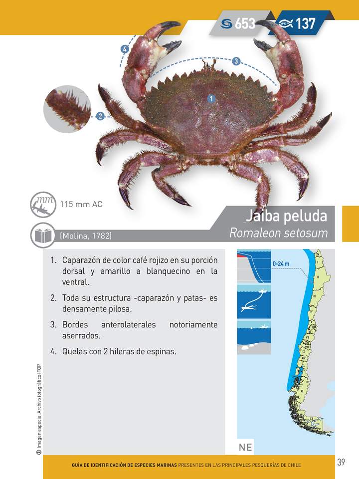 Imagen portada