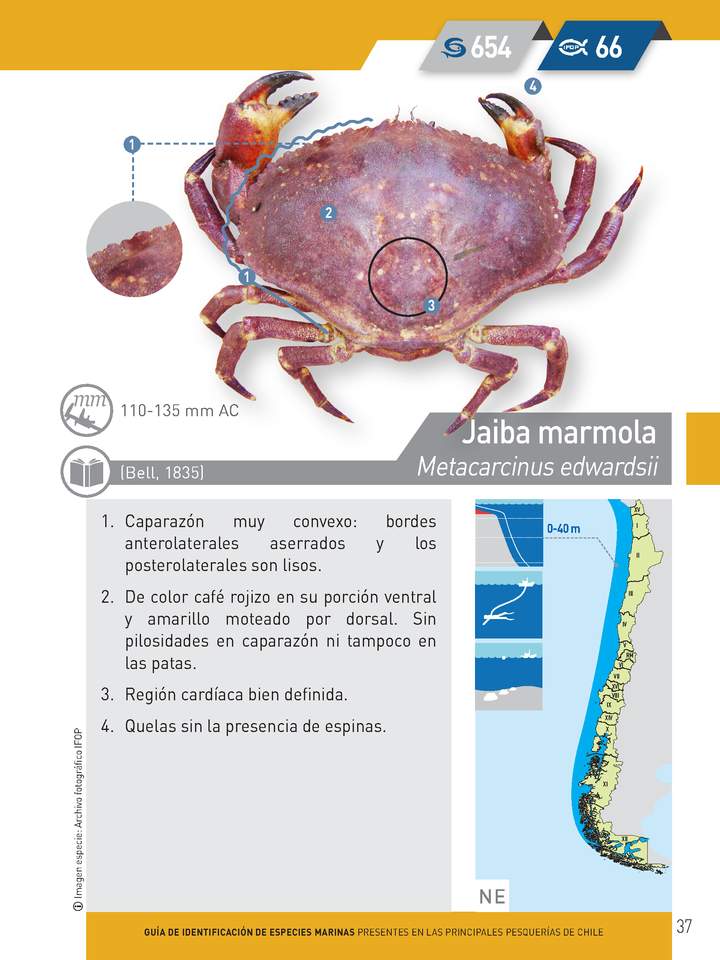 Imagen portada