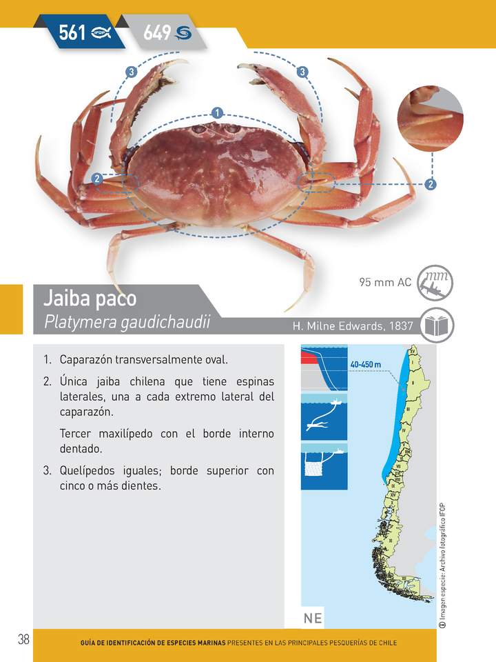 Imagen portada