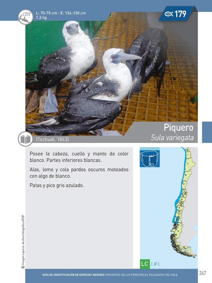 Imagen portada