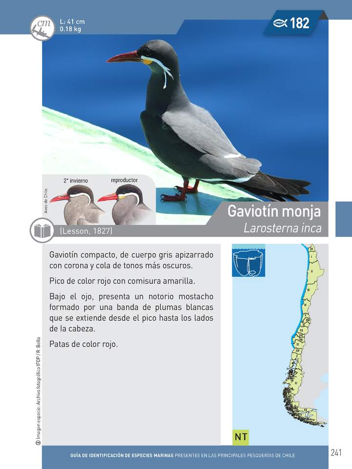 Imagen portada