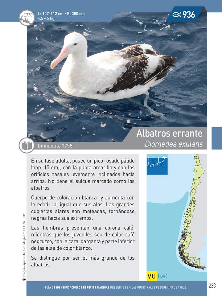 Imagen portada