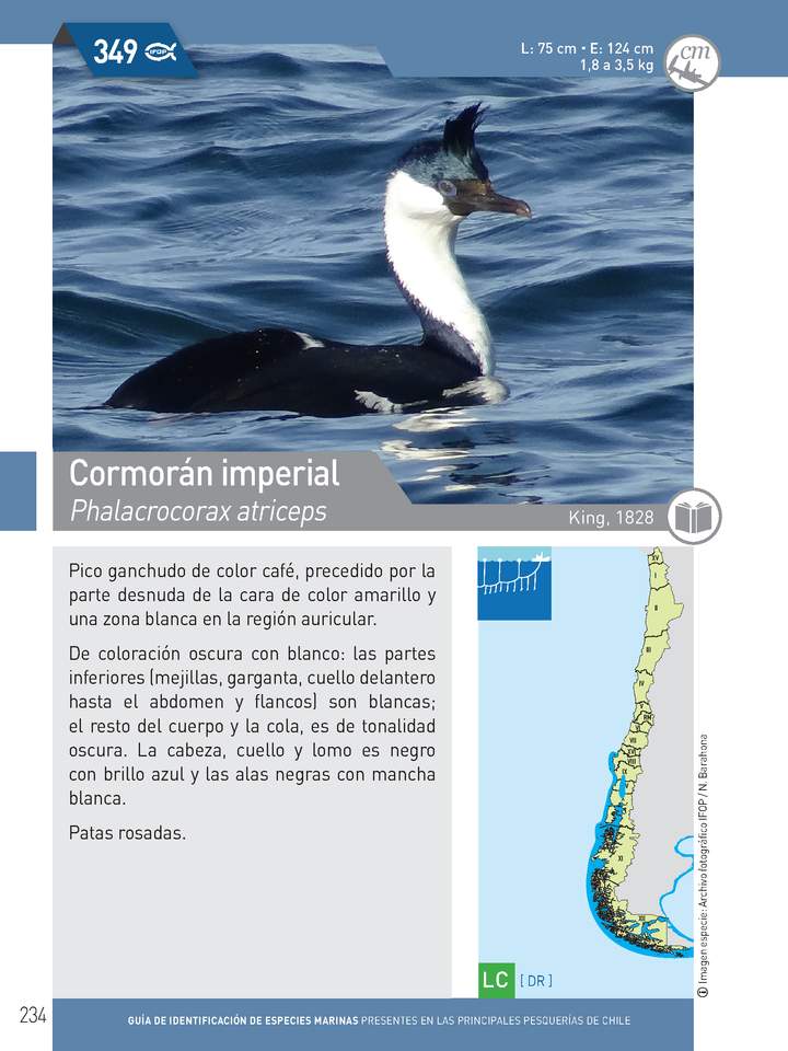 Imagen portada