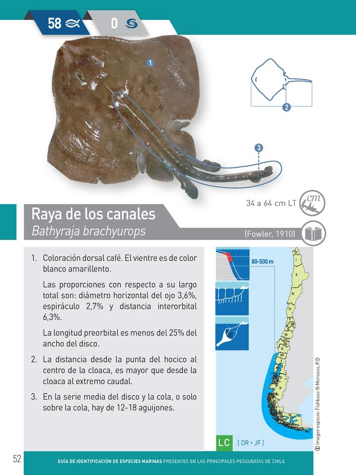 Imagen portada