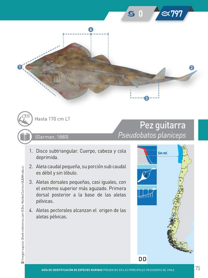 Imagen portada