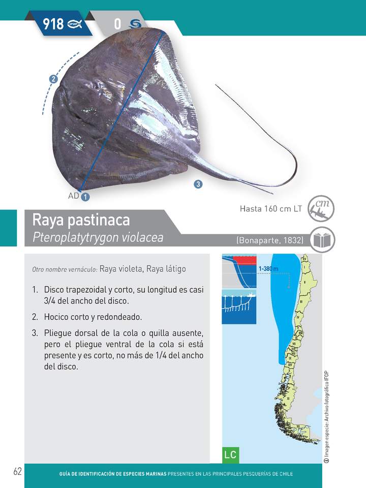 Imagen portada