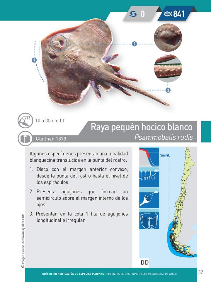 Imagen portada