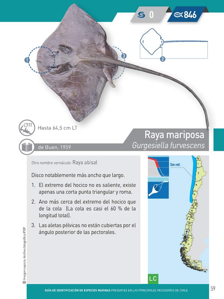 Imagen portada