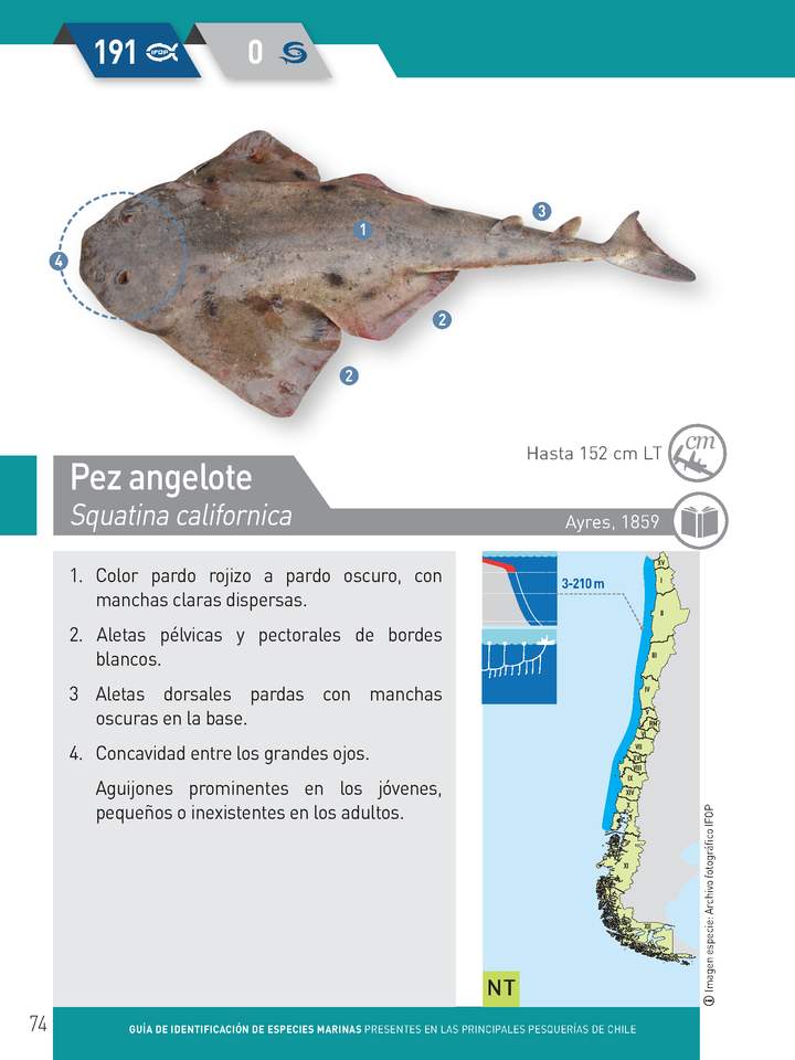 Imagen portada