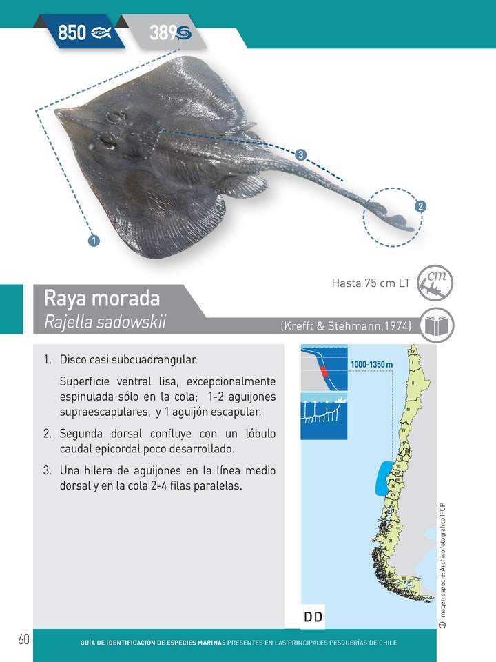 Imagen portada