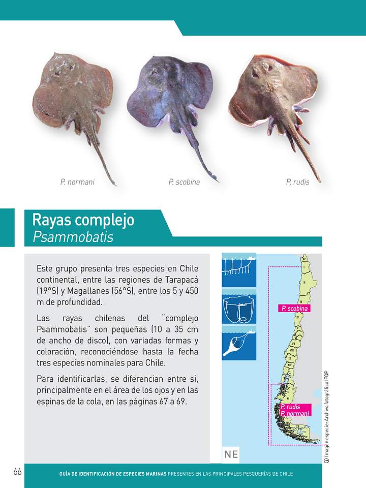 Imagen portada