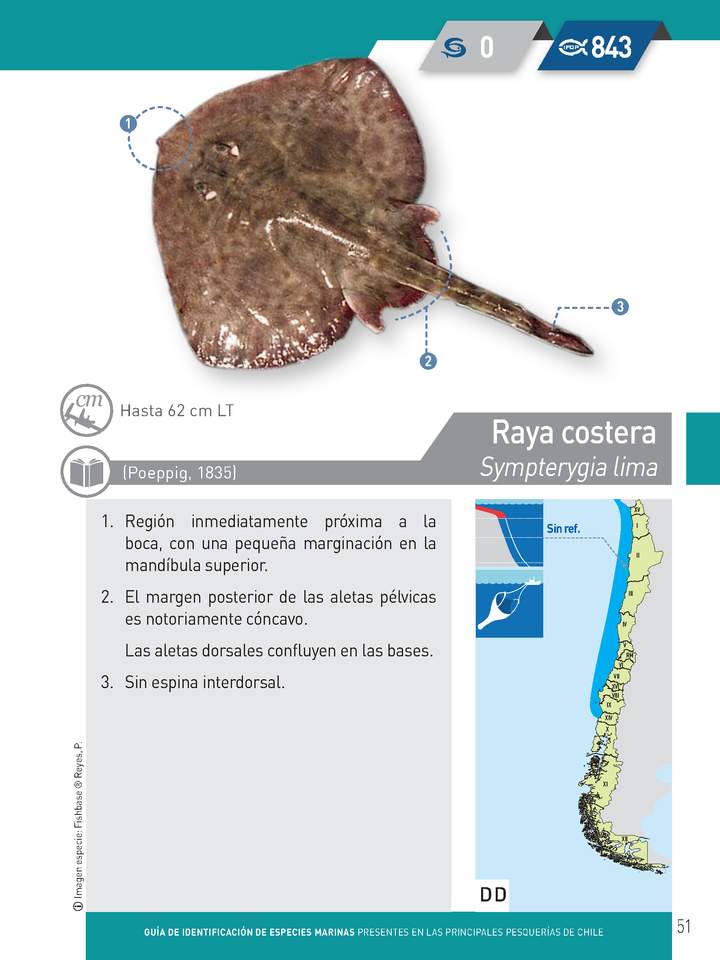 Imagen portada