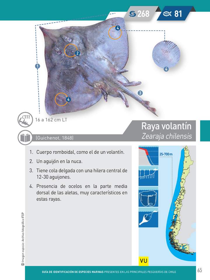 Imagen portada