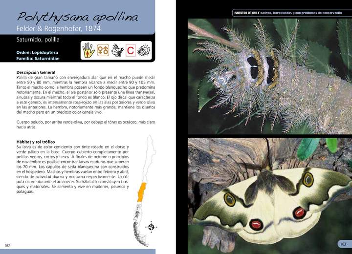 Imagen portada
