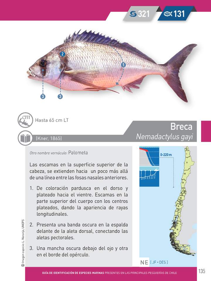 Imagen portada
