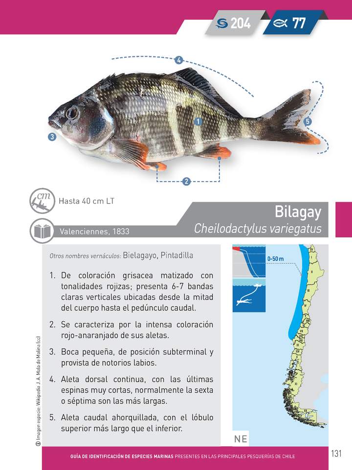 Imagen portada