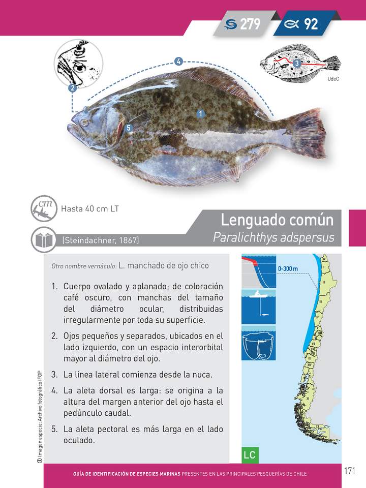 Imagen portada