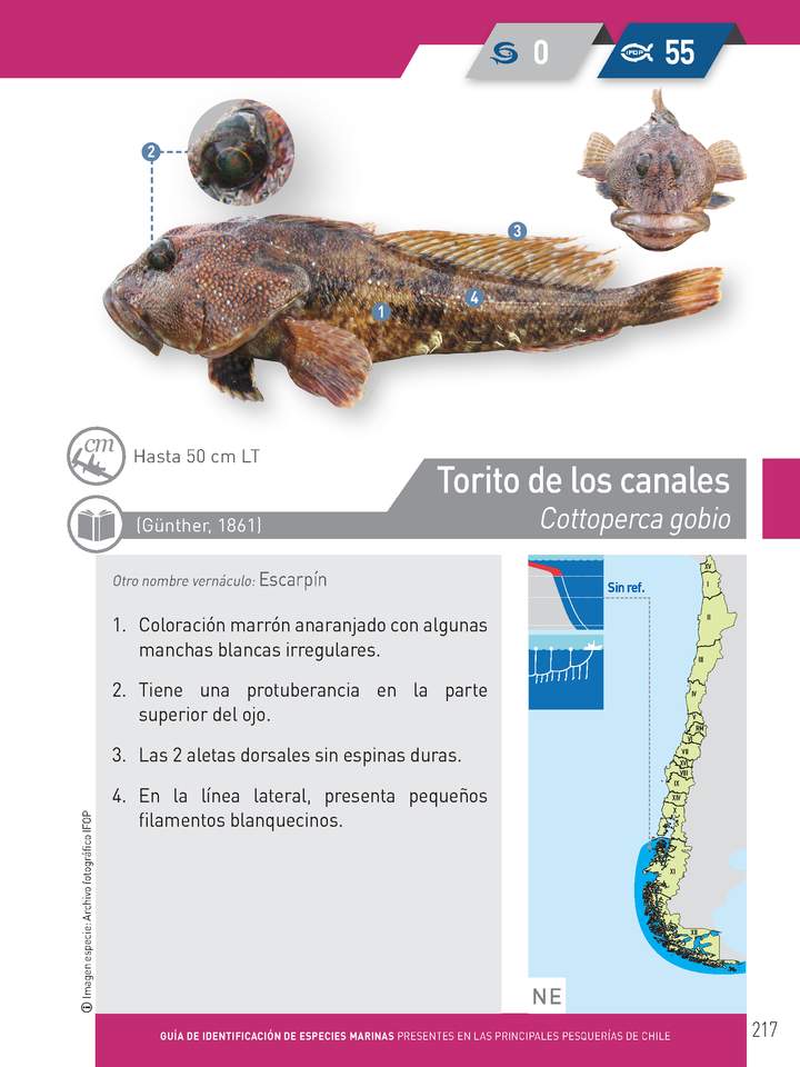 Imagen portada