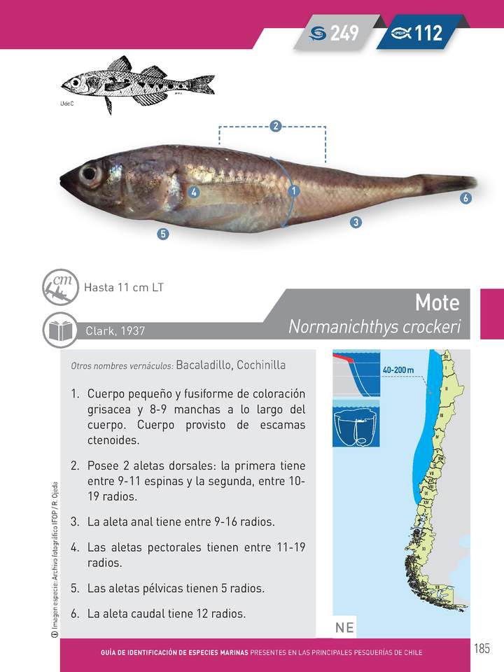 Imagen portada