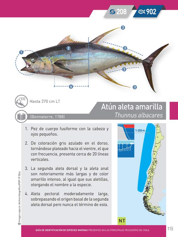 Imagen portada