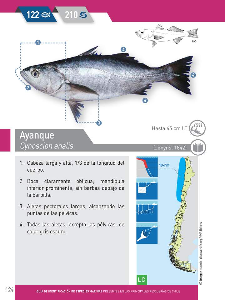 Imagen portada