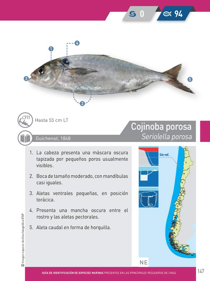 Imagen portada