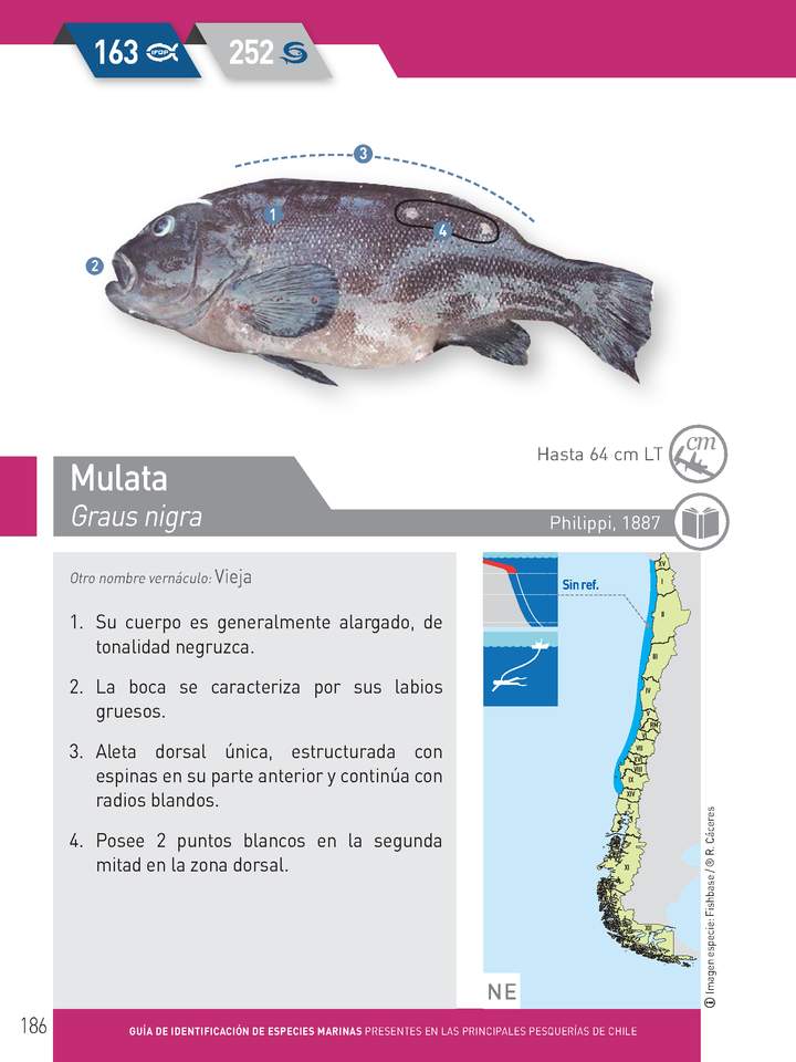 Imagen portada