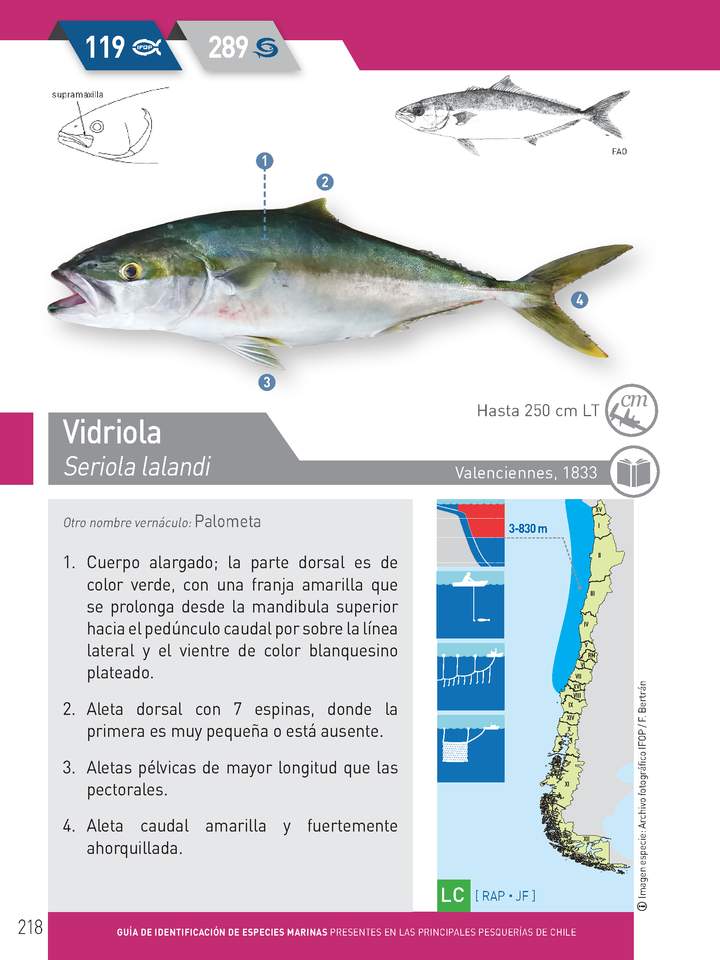 Imagen portada