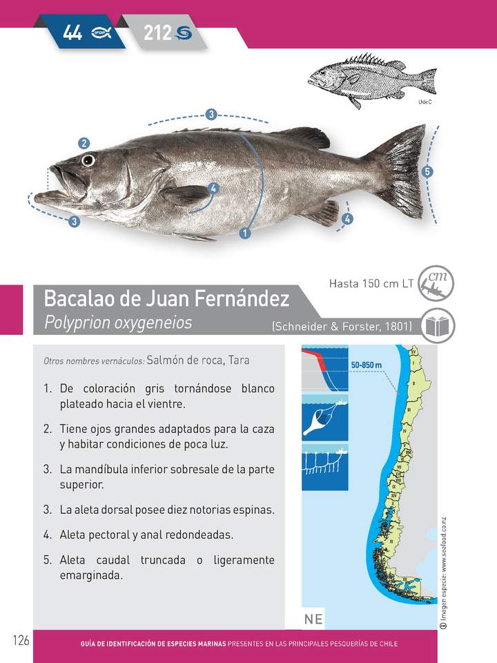 Imagen portada