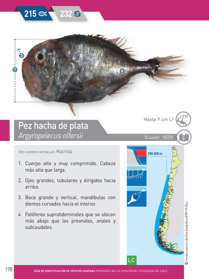 Imagen portada