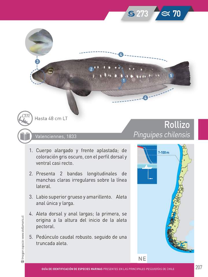Imagen portada